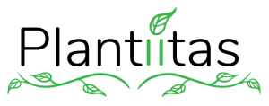 plantiitas-logo-green