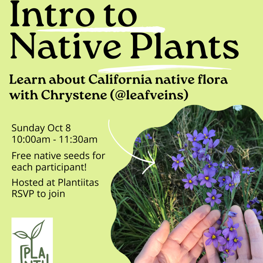 Intro to Native Plants