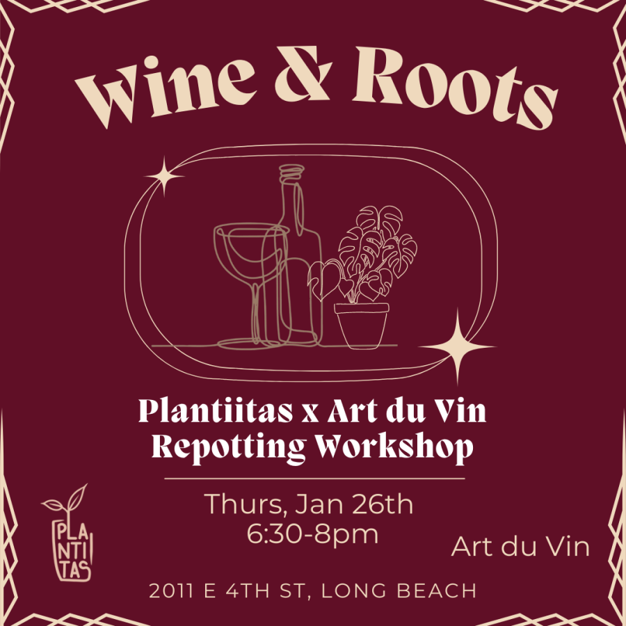 Wine & Roots (1)